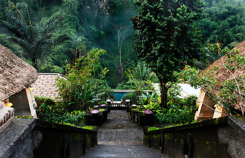 Bagus Jati – Detox Retreat